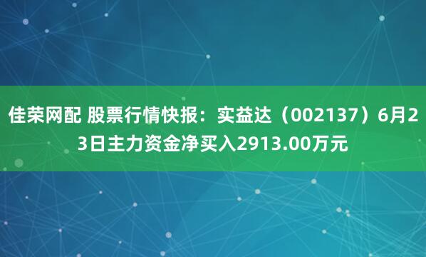 佳荣网配 股票行情快报：实益达（002137）6月23日主力资金净买入2913.00万元