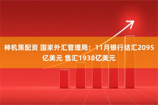 神机策配资 国家外汇管理局：11月银行结汇2095亿美元 售汇1938亿美元